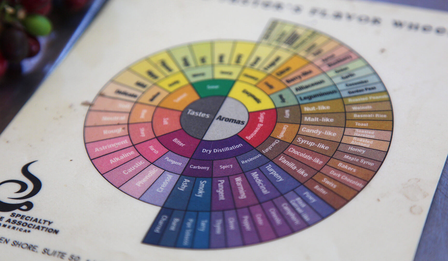 coffee bean tasting cheat sheet