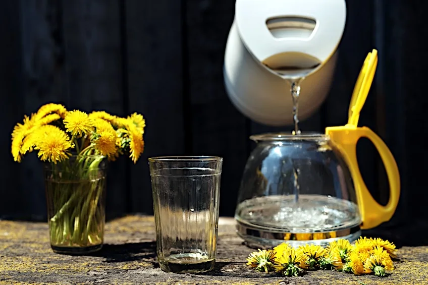 Dandelion Flower Tea Recipe