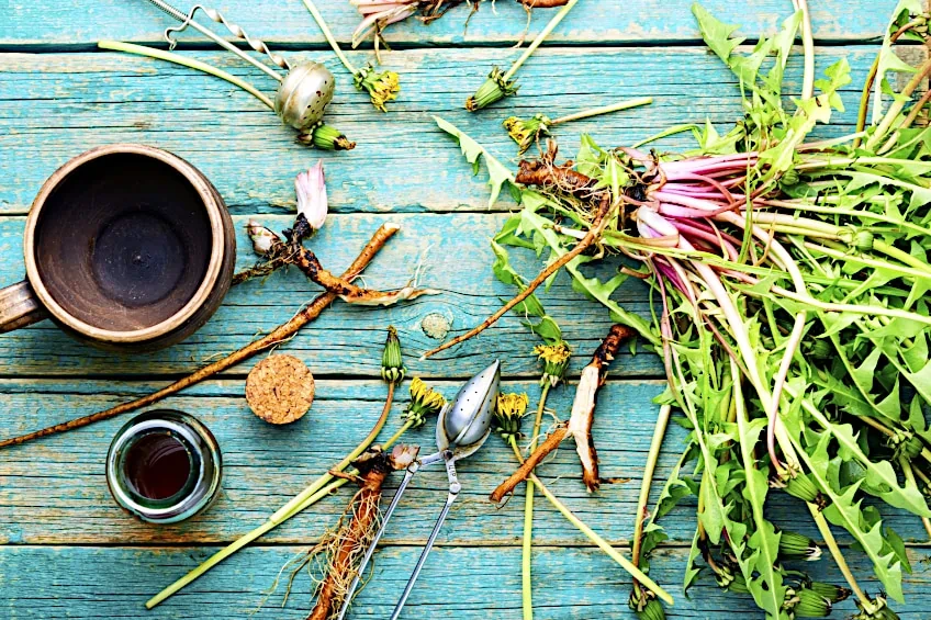 Dandelion Root Tea Recipe