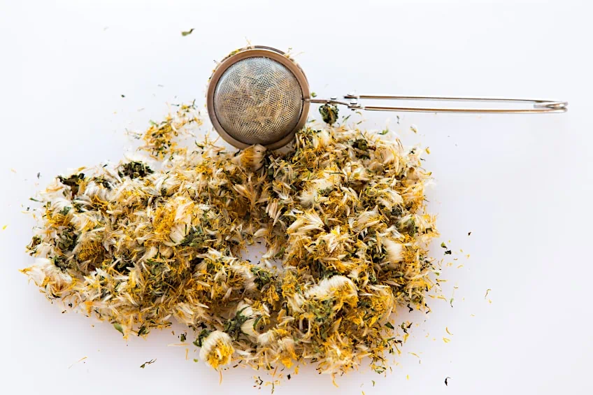 Dried Dandelion for Making Tea